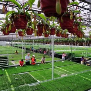 農(nóng)業(yè)將迎來(lái)發(fā)展黃金期,把握四大機(jī)遇大筆生財(cái)